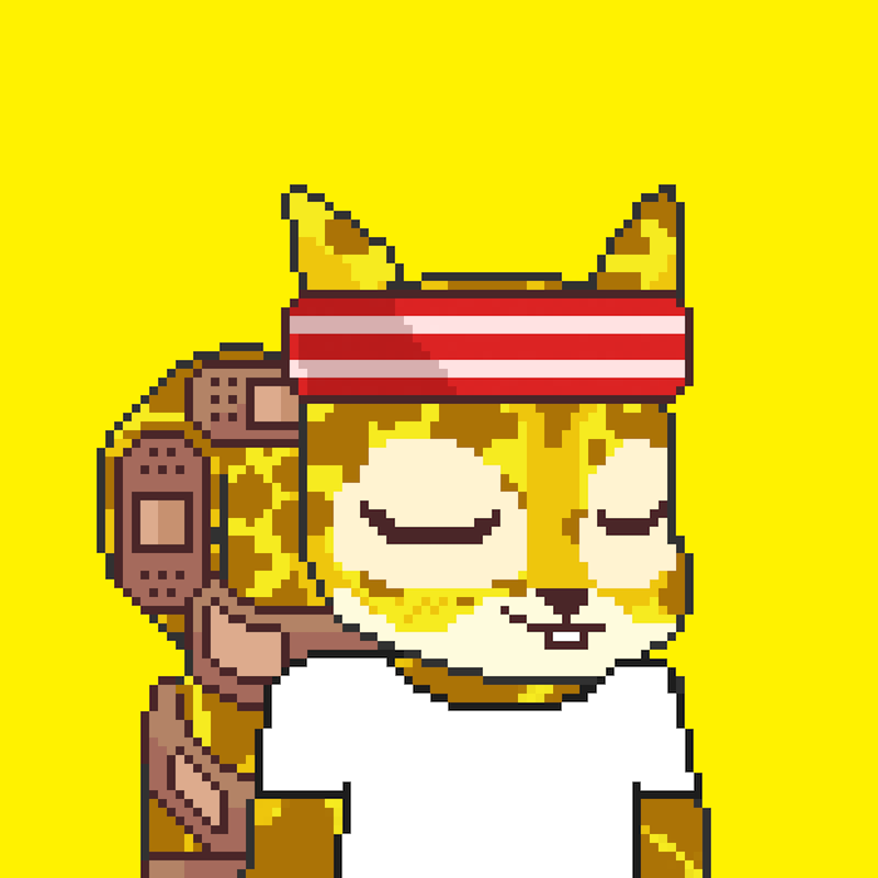 Pixel Squirrels #2822